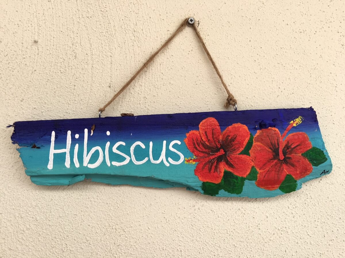 hibiscus-10